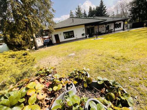 Foto - Haus zum Kaufen in Tantow Schönfeld 319.000,00 € 113.83 m²