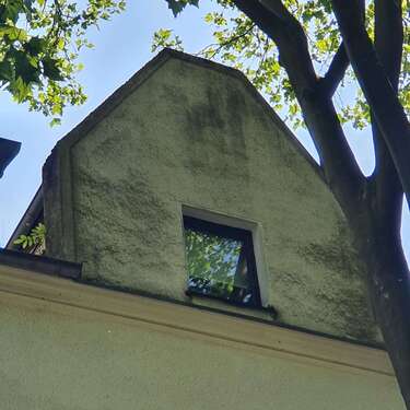 Foto - Haus zum Kaufen in Oberhausen 260.000,00 € 263.37 m²