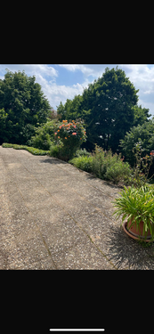 Foto - Wohnung zum Mieten in Weinheim 925,00 € 75 m²