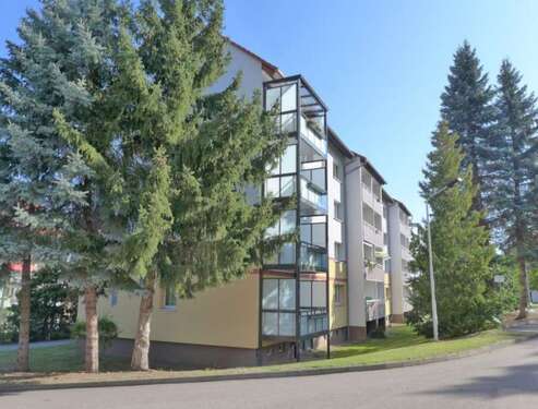 Foto - Wohnung zum Mieten in Limbach-Oberfrohna 275,00 € 49.96 m²