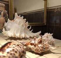 Wohnung zum Mieten in Holzen 1.400,00 € 110 m²