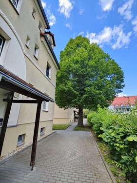 Foto - Wohnung zum Mieten in Zwickau 300,00 € 54.6 m²