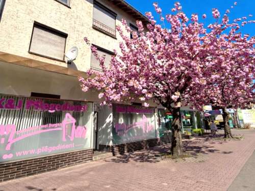 Foto - Büro in Weinheim 990,00 € 66.69 m²