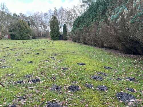 Foto - Grundstück zu verkaufen in Lauenbrück 89.000,00 € 1548 m²