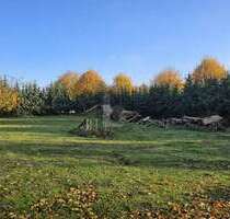 Grundstück zu verkaufen in Zierow 280.000,00 € 928 m²