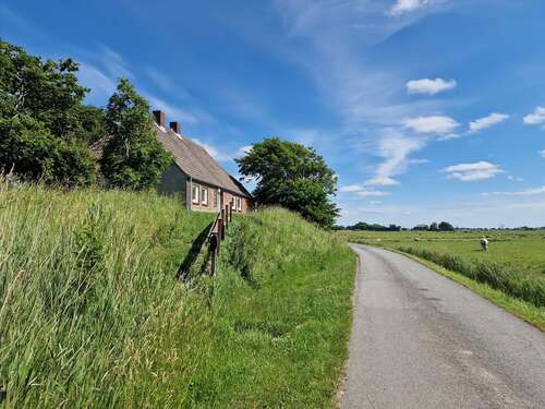Foto - Haus zum Kaufen in Westerhever 349.000,00 € 59 m²