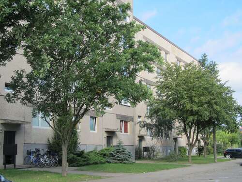 Foto - Wohnung zum Mieten in Zielitz 240,00 € 39.5 m²