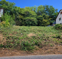 Grundstück zu verkaufen in Bammental 335.000,00 € 520 m²