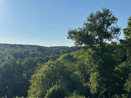 Foto - Grundstück zu verkaufen in Bad Soden am Taunus 1.450.000,00 € 2500 m²