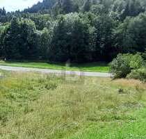 Grundstück zu verkaufen in Lauterbach 139.000,00 € 1106 m²