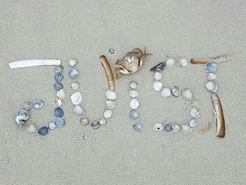 Foto - Wohnung zum Kaufen in Juist 335.000,00 € 31.44 m²