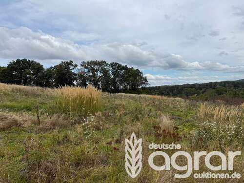 Foto - Grundstück in Klipphausen Gauernitz 5.900,00 € 9353 m²