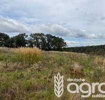 Grundstück in Klipphausen Gauernitz 5.900,00 € 9353 m² - Klipphausen / Gauernitz