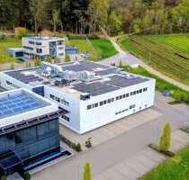 Büro in Bodman-Ludwigshafen 6.600,00 € 550 m²