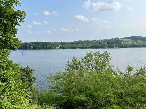 Foto - Wohnung zum Mieten in Münster 1.280,00 € 58 m²