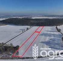 Grundstück in Mellenthin 15.900,00 € 10219 m²