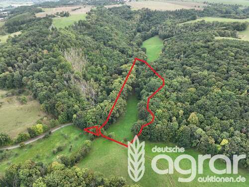 Foto - Grundstück in Klipphausen Constappel 9.900,00 € 18608 m²