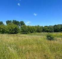 Grundstück in Hohenroda 370.000,00 € 9200 m²