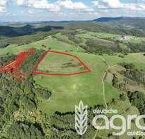 Grundstück in Schweisweiler 35.950,00 € 54844 m²