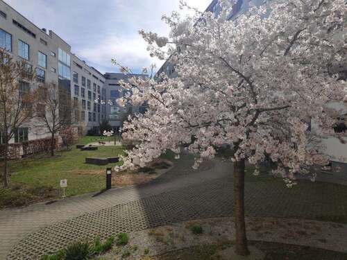 Foto - Wohnung zum Kaufen in München 540.000,00 € 43.2 m²