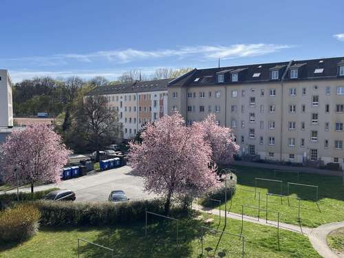 Foto - Wohnung zum Mieten in Chemnitz 332,00 € 50 m²