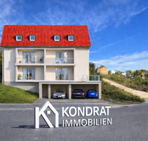 Haus zum Kaufen in Bayern - Günzburg 1.199.000,00 € 270 m²