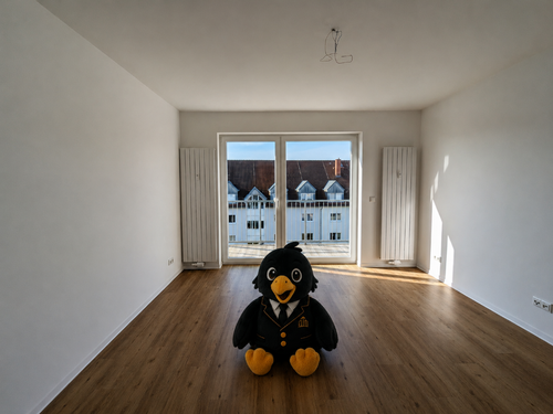 Foto - Wohnung zum Mieten in Waldenburg 375,00 € 60.55 m²
