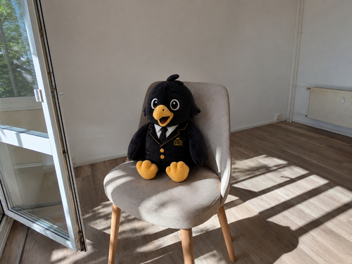 Foto - Wohnung zum Mieten in Chemnitz 315,00 € 52.1 m²