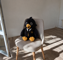 Wohnung zum Mieten in Chemnitz 315,00 € 52.1 m²
