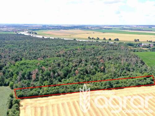 Foto - Grundstück in MühlbergElbe Fichtenberg 9.900,00 € 12250 m²