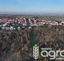 Grundstück in Frankfurt am Main 7.777,00 € 1215 m²