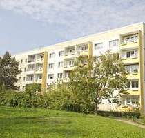 Wohnung zum Mieten in Halle (Saale) 359,00 € 59.73 m²