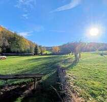 Haus zum Kaufen in Schiersfeld 398.000,00 € 295 m²