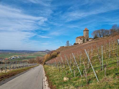 Foto - Haus zum Kaufen in Oberstenfeld 599.900,00 € 136 m²