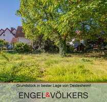 Grundstück zu verkaufen in Deidesheim 355.000,00 € 392 m²