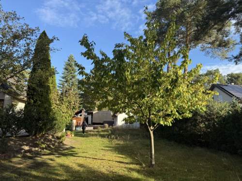 Foto - Grundstück zu verkaufen in Königs Wusterhausen 89.000,00 € 456 m²