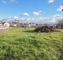 Grundstück zu verkaufen in Waldshut-Tiengen 300.000,00 € 737 m²