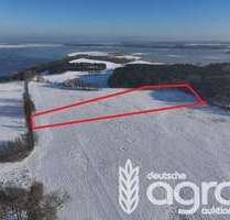 Grundstück in Balm-Benz 26.900,00 € 27435 m²