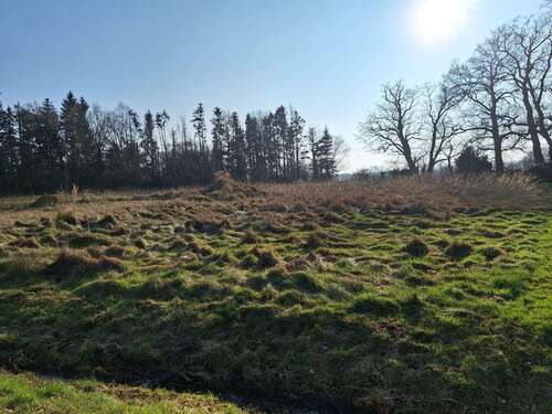 Foto - Grundstück in Vollersode 749.000,00 € 5167 m²