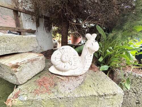 Foto - Haus zum Kaufen in Waldsolms 230.000,00 € 252.82 m²