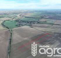 Grundstück in Könnern 154.900,00 € 56654 m²