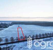 Grundstück in Templin Klosterwalde 6.666,00 € 5130 m² - Templin / Klosterwalde