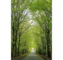 Wohnung zum Kaufen in Ullersdorf 308.850,00 € 86.6 m²