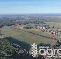 Grundstück in Guteborn 12.900,00 € 23332 m²