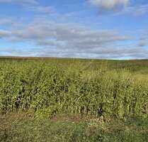 Grundstück in Weng 283.716,00 € 15762 m²