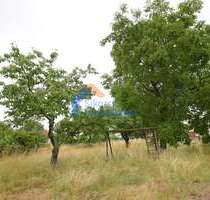 Grundstück zu verkaufen in Fünfeichen 50.000,00 € 581 m²