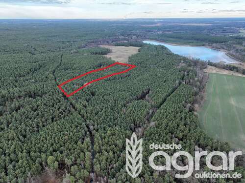 Foto - Grundstück in Oßling Lieske 10.000,00 € 13903 m²