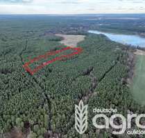 Grundstück in Oßling Lieske 10.000,00 € 13903 m² - Oßling / Lieske