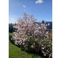 Wohnung zum Mieten in Bad Bellingen 510,00 € 51 m²