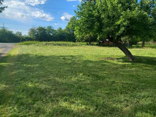 Foto - Grundstück zu verkaufen in Fronhausen 149.900,00 € 949 m²